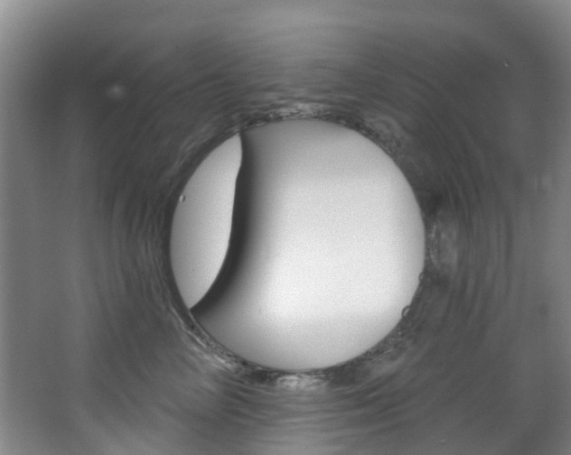 X0000068740714200604281016
