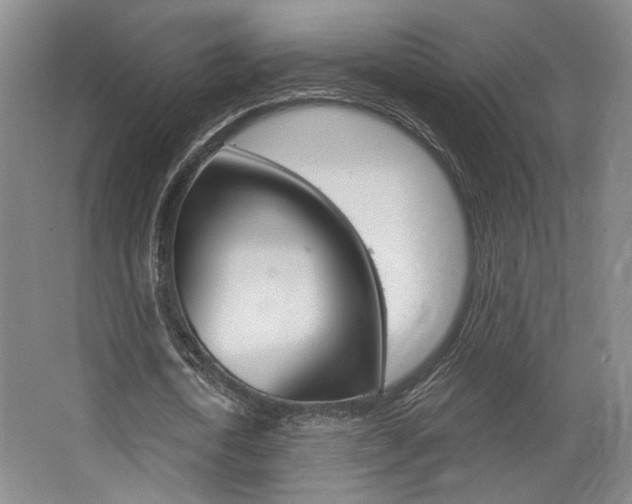X0000068740722200604281015