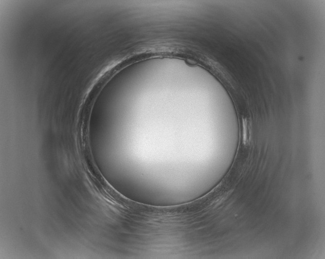 X0000068740723200604281015