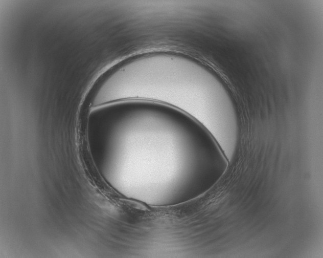 X0000068740724200604281015