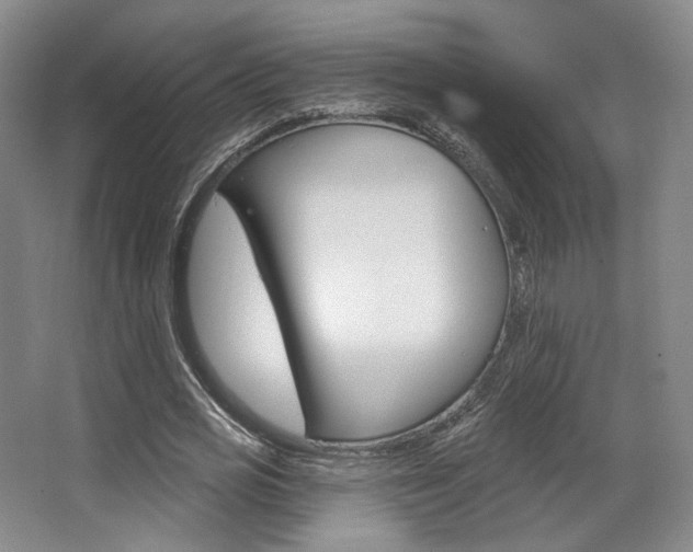 X0000068740725200604281015