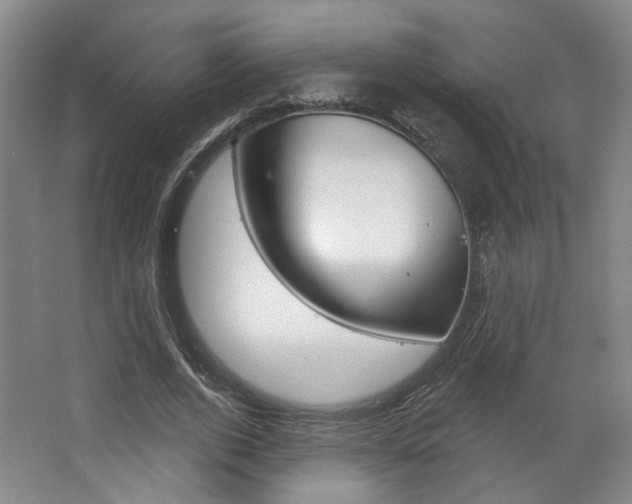 X0000068740728200604281015