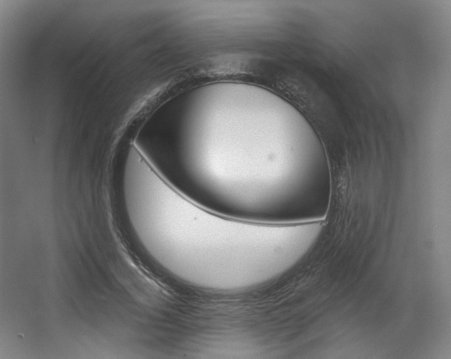 X0000068740732200604281015