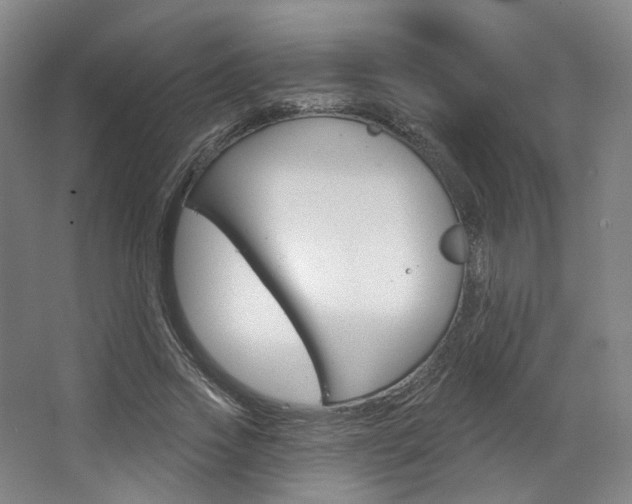 X0000068740733200604281015