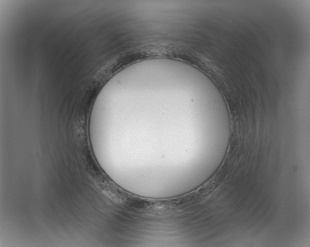 X0000068740737200604281015