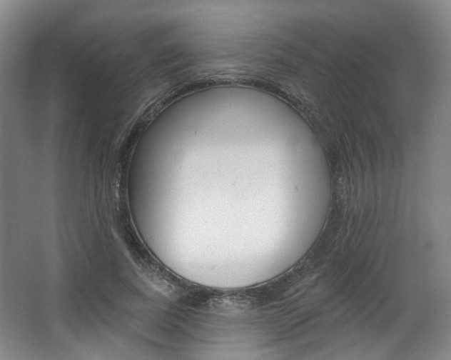 X0000068740739200604281015
