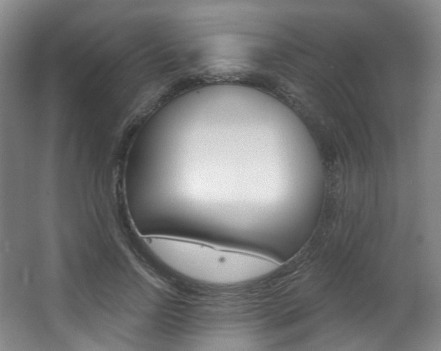X0000068740742200604281015