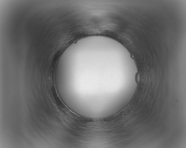 X0000068740743200604281015