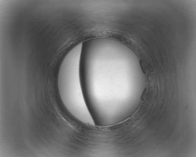 X0000068740744200604281015