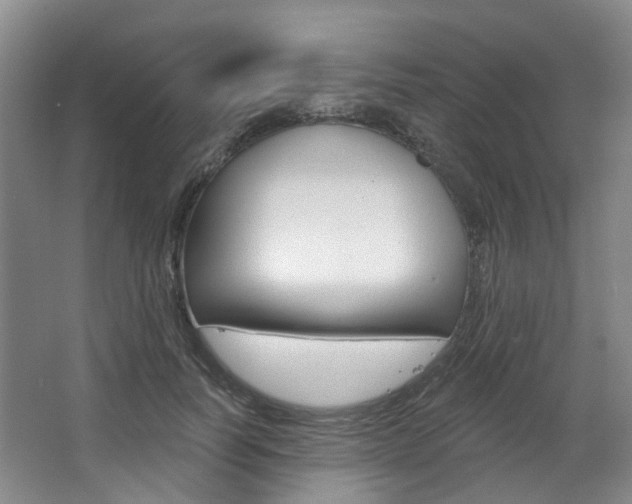 X0000068740746200604281016