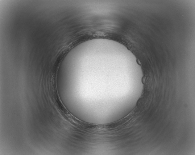 X0000068740747200604281016