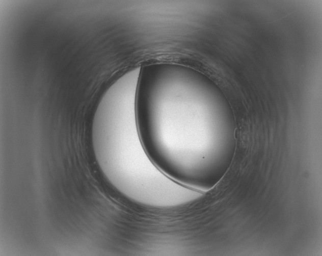 X0000068740748200604281016