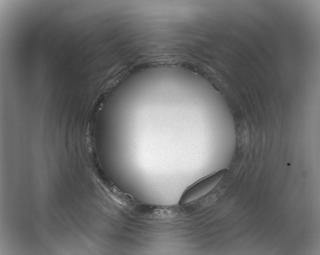 X0000068740764200604281016