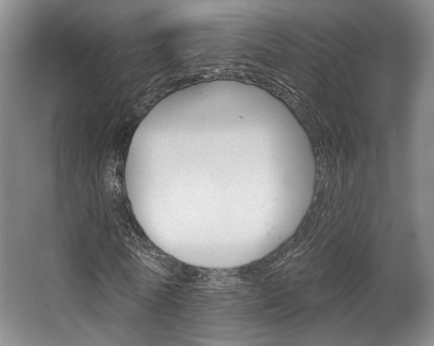X0000068740770200604281015