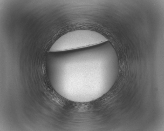 X0000068740772200604281015