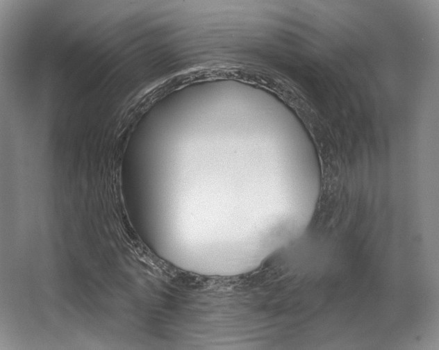 X0000068740773200604281015