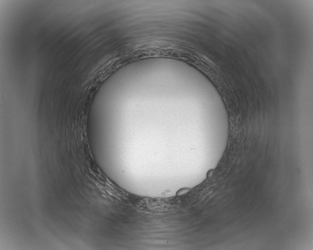 X0000068740774200604281015