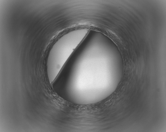 X0000068740776200604281015