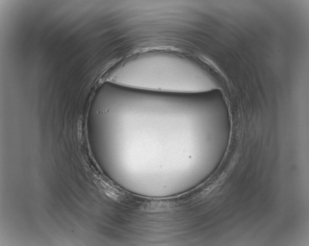 X0000068740777200604281015