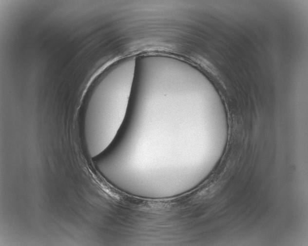 X0000068740782200604281015