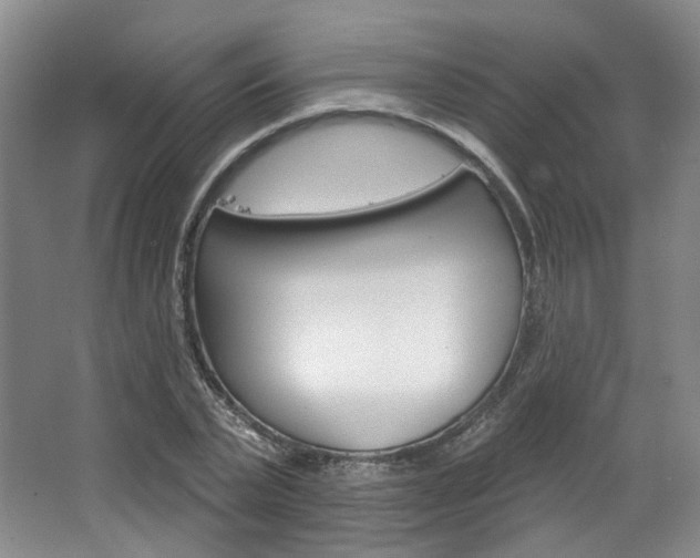 X0000068740783200604281015