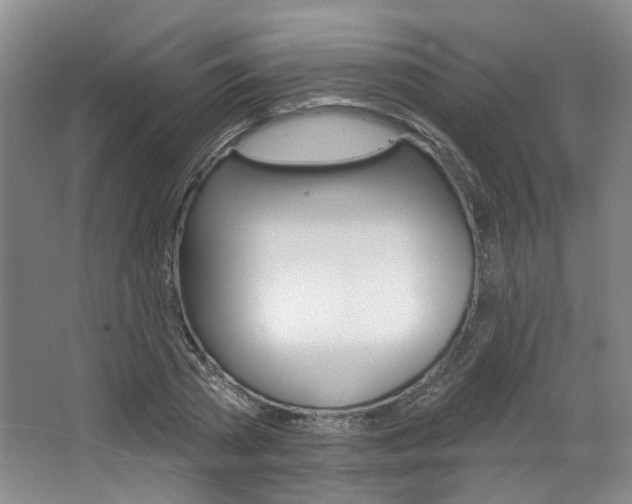 X0000068740785200604281015