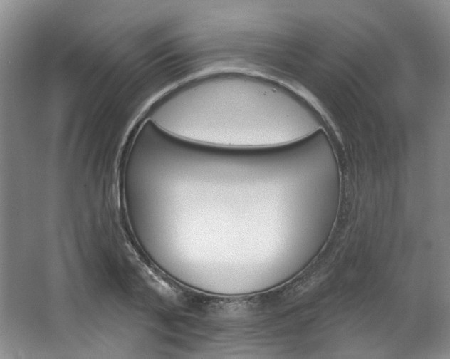 X0000068740791200604281015