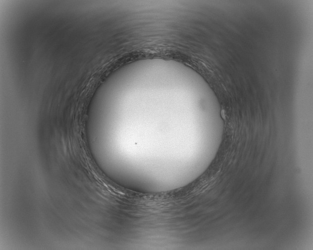 X0000068740817200604281013