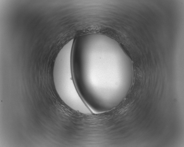 X0000068740818200604281013