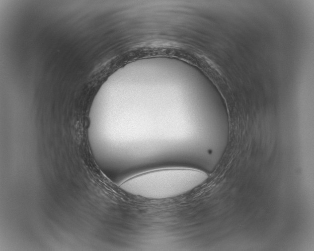X0000068740821200604281014