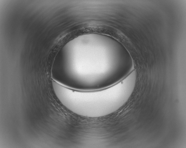 X0000068740822200604281014