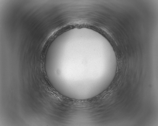 X0000068740823200604281014