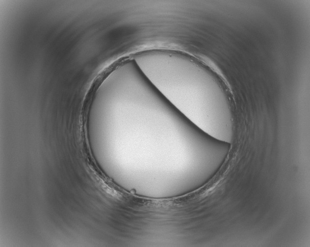 X0000068740831200604281014