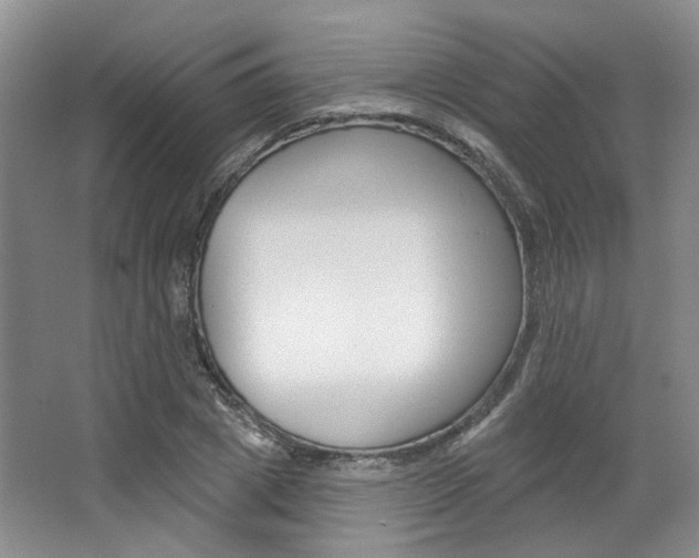 X0000068740833200604281014