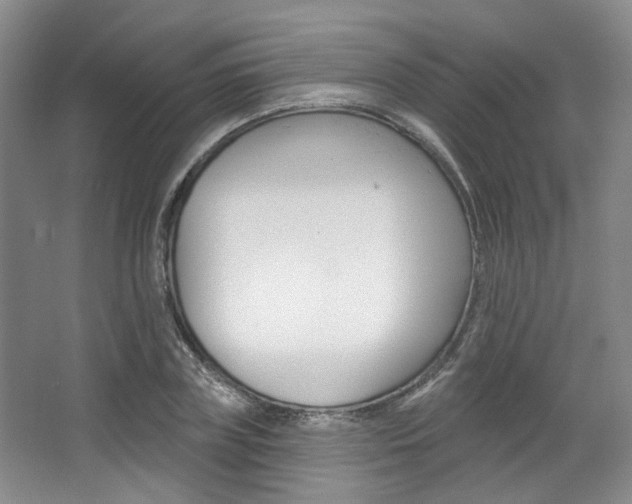 X0000068740835200604281014