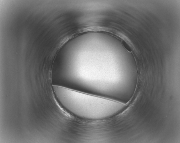 X0000068740849200604281014