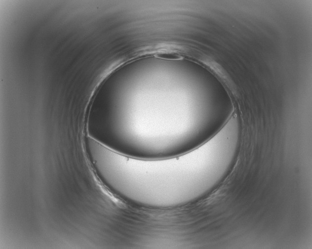 X0000068740850200604281014