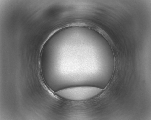 X0000068740852200604281014