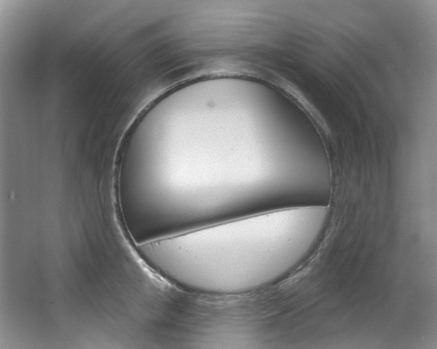X0000068740853200604281014