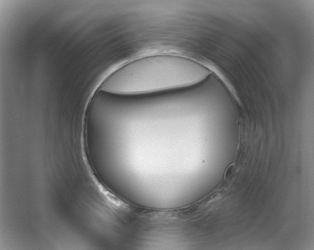 X0000068740861200604281014