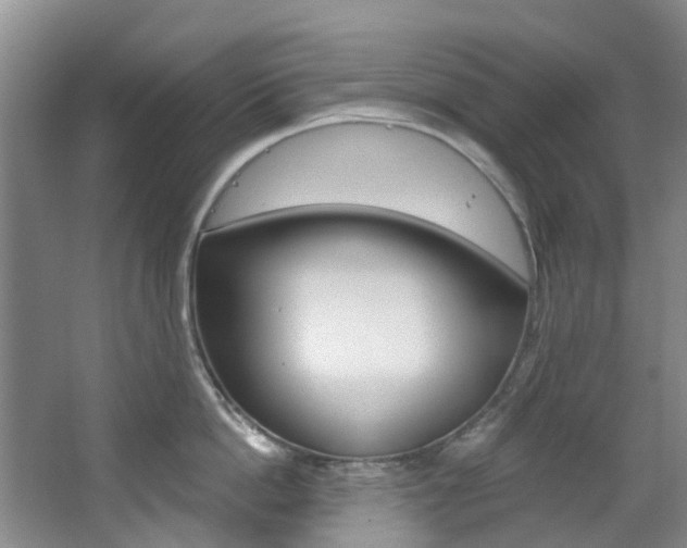 X0000068740862200604281014