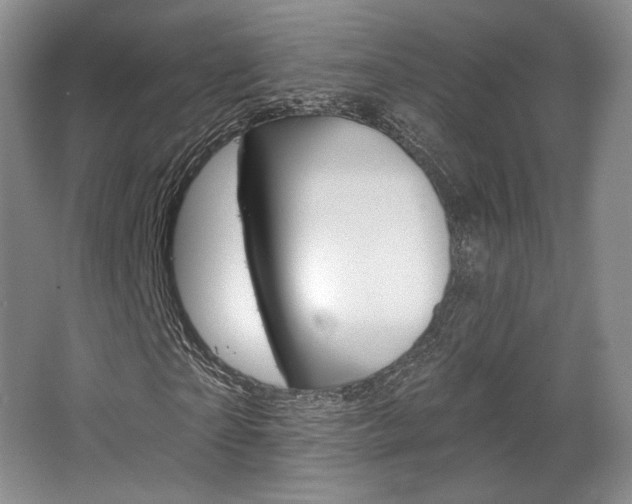 X0000068740865200604281013