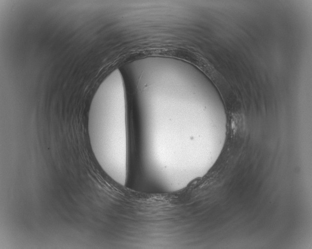 X0000068740867200604281013