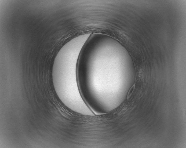 X0000068740868200604281013