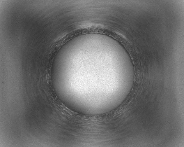 X0000068740869200604281013