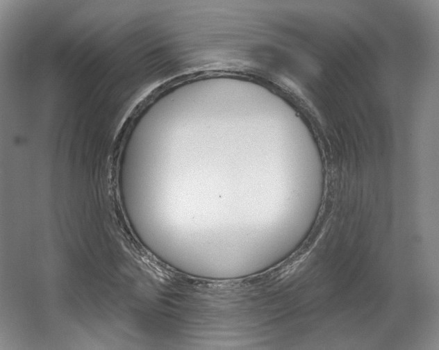 X0000068740875200604281013