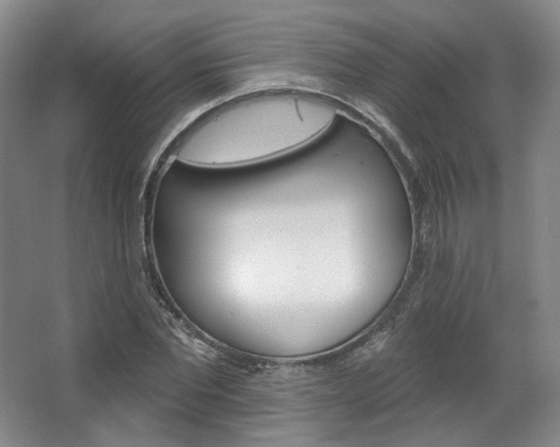 X0000068740877200604281013