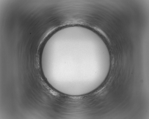 X0000068740878200604281013