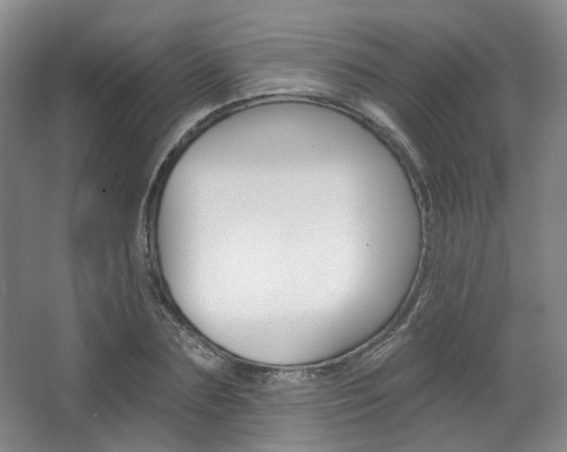 X0000068740883200604281013