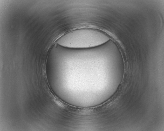 X0000068740889200604281013